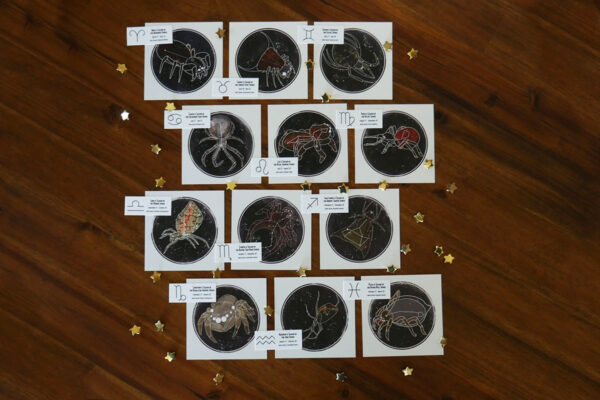 arachnid astrology full print set