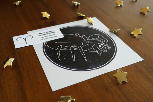 arachnid astrology single print